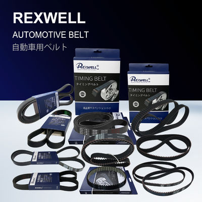 Guaranteed Heavy Duty Timing Belt Kit for Mitsubishi L200 1145A019 Long Lasting